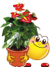 blumen-smilie_077