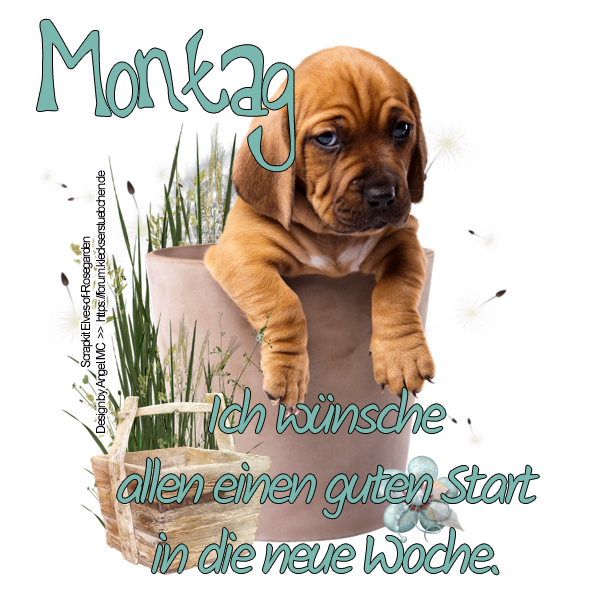 ::Wochentage--Montag::