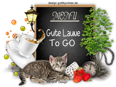::gutelaunetogo::