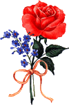 ::blume_u_380::