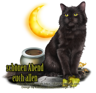 ::schwarze-katze-Klein-angelh19-3::