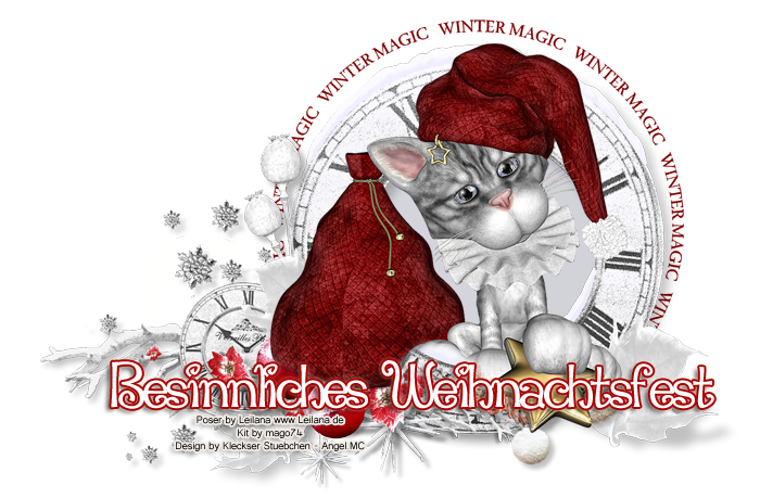 ::Besinnliches-nein-Weihnachtsfest::
