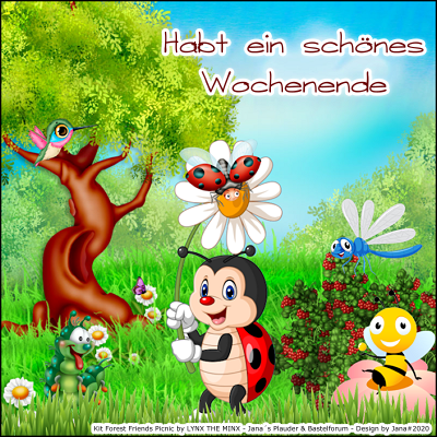 ::1copy400forestfriendspicnicjw2020::